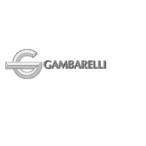 Gi Gambarelli Gi Gambarelli